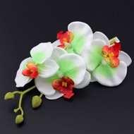 hårklips, hvid-grøn orkideflor 